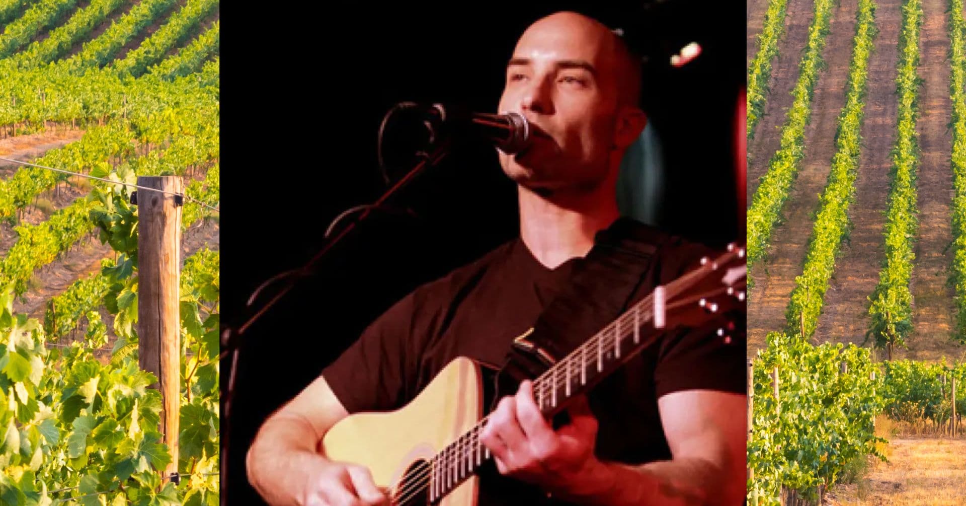 Michael LeClerc 3-6pm - general event at Vitagliano Winery in Temecula, California