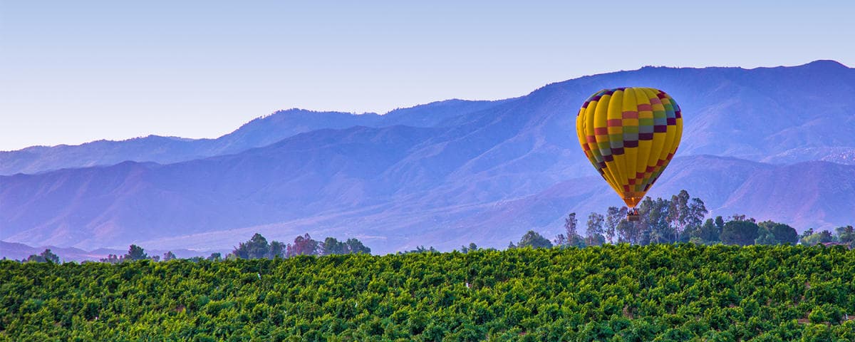 Wine Festival & Chocolate Decadence - Wine/Festival event at Multiple Temecula Valley Wineries in Temecula, California